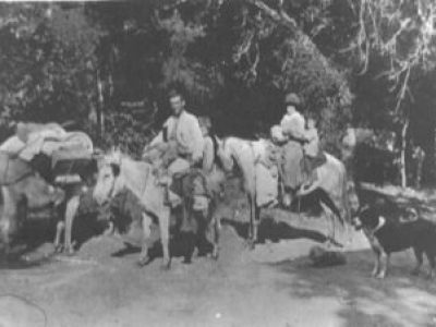 BCC5FA21-1650-4D9A-B936-7D5F3DCDBA9C_4_5005_c